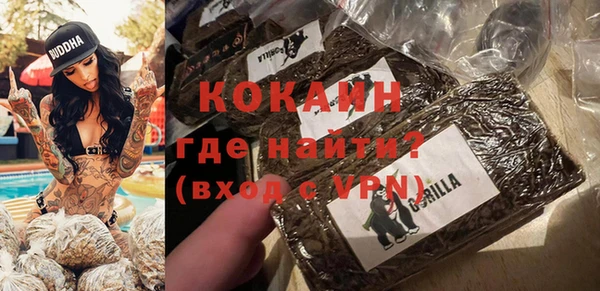 крисы Ельня