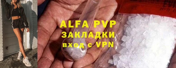 PSILOCYBIN Елабуга