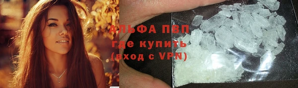 крисы Ельня