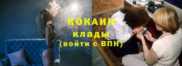 крисы Ельня