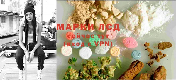 трава Тайга