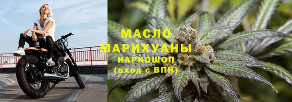 крисы Ельня
