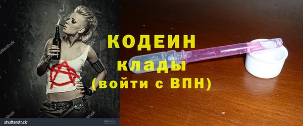дживик Заводоуковск